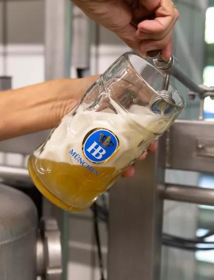 Karriere bei der Brauerei Hofbräu in München